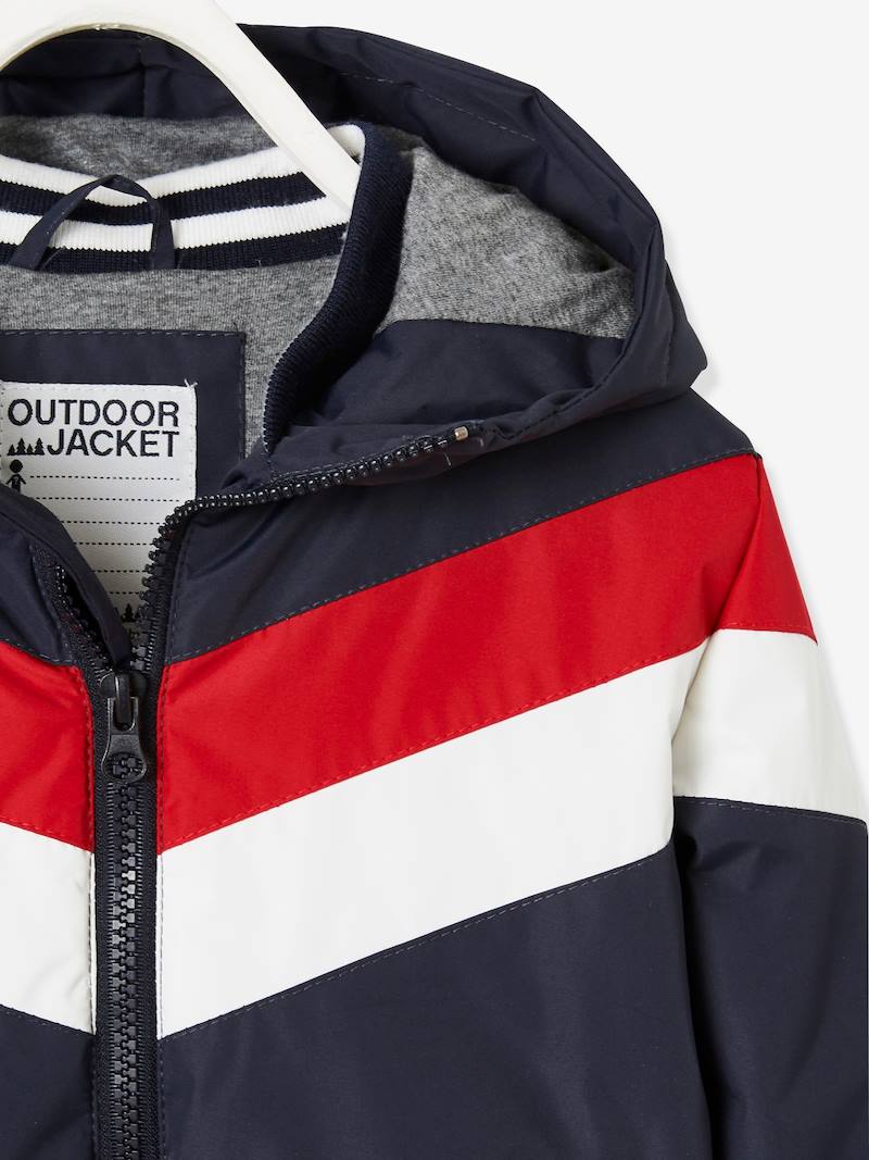 https://kids-avenue.com.ua/pages/gallery/1325/blouson-a-capuche-garcon-effet-color-block (4).jpg
